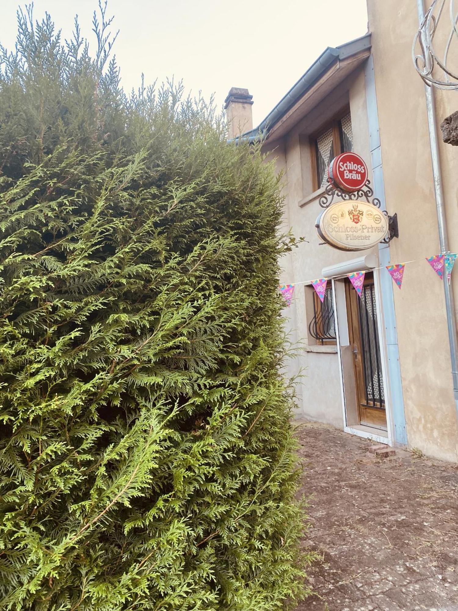 La Mariefacture - Comme A La Guinguette ! Villa Hombourg-Haut Exterior photo